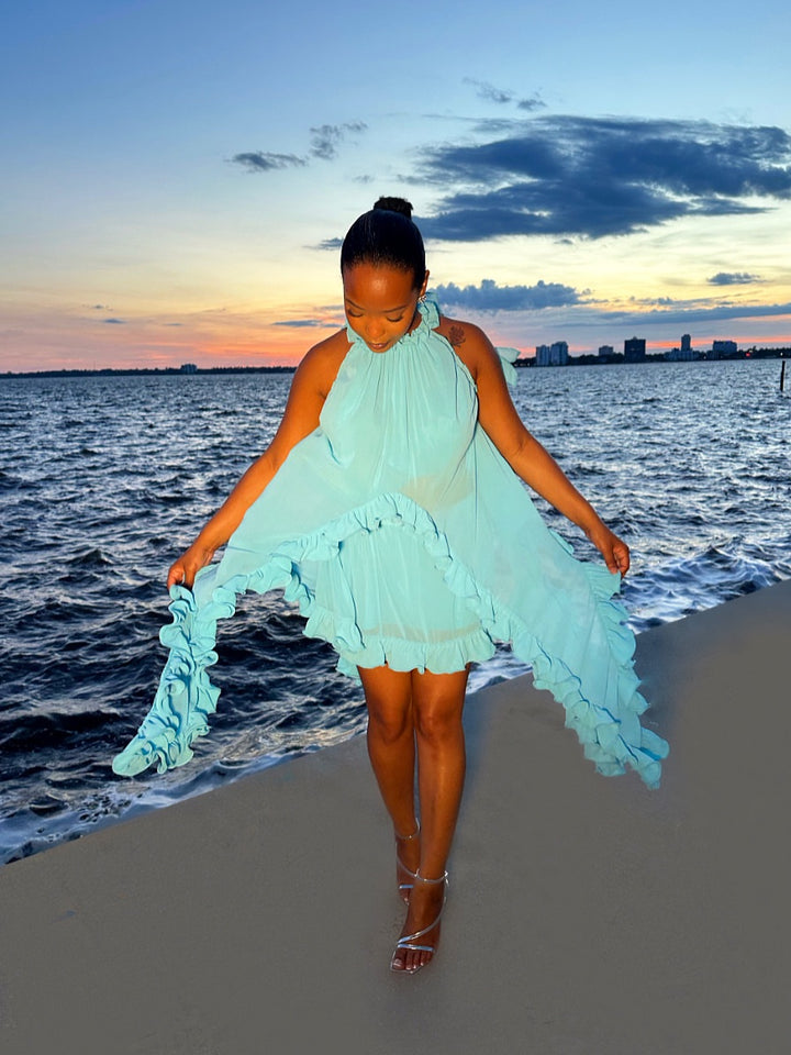 Meow and Barks Teal Blue Cascade Skirt Set