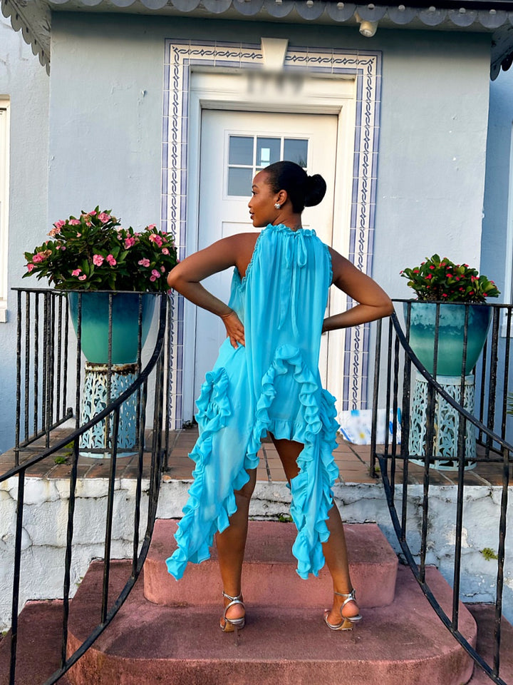 Meow and Barks Teal Blue Cascade Skirt Set