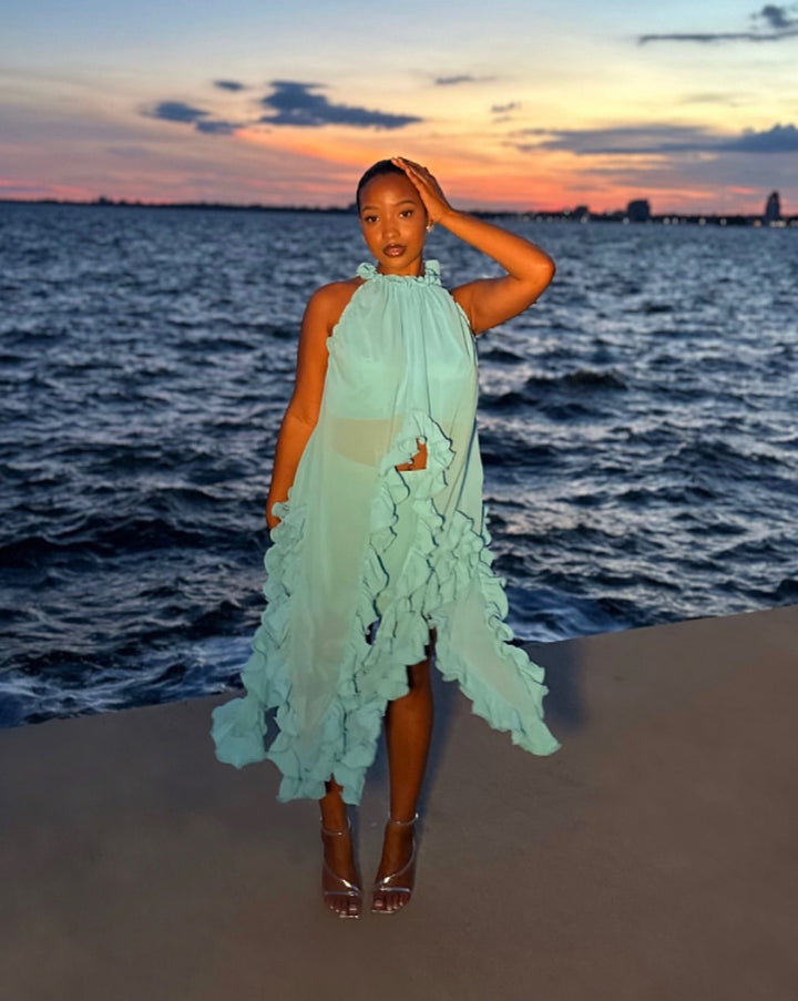 Meow and Barks Teal Blue Cascade Skirt Set