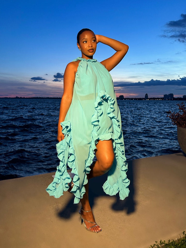 Meow and Barks Teal Blue Cascade Skirt Set