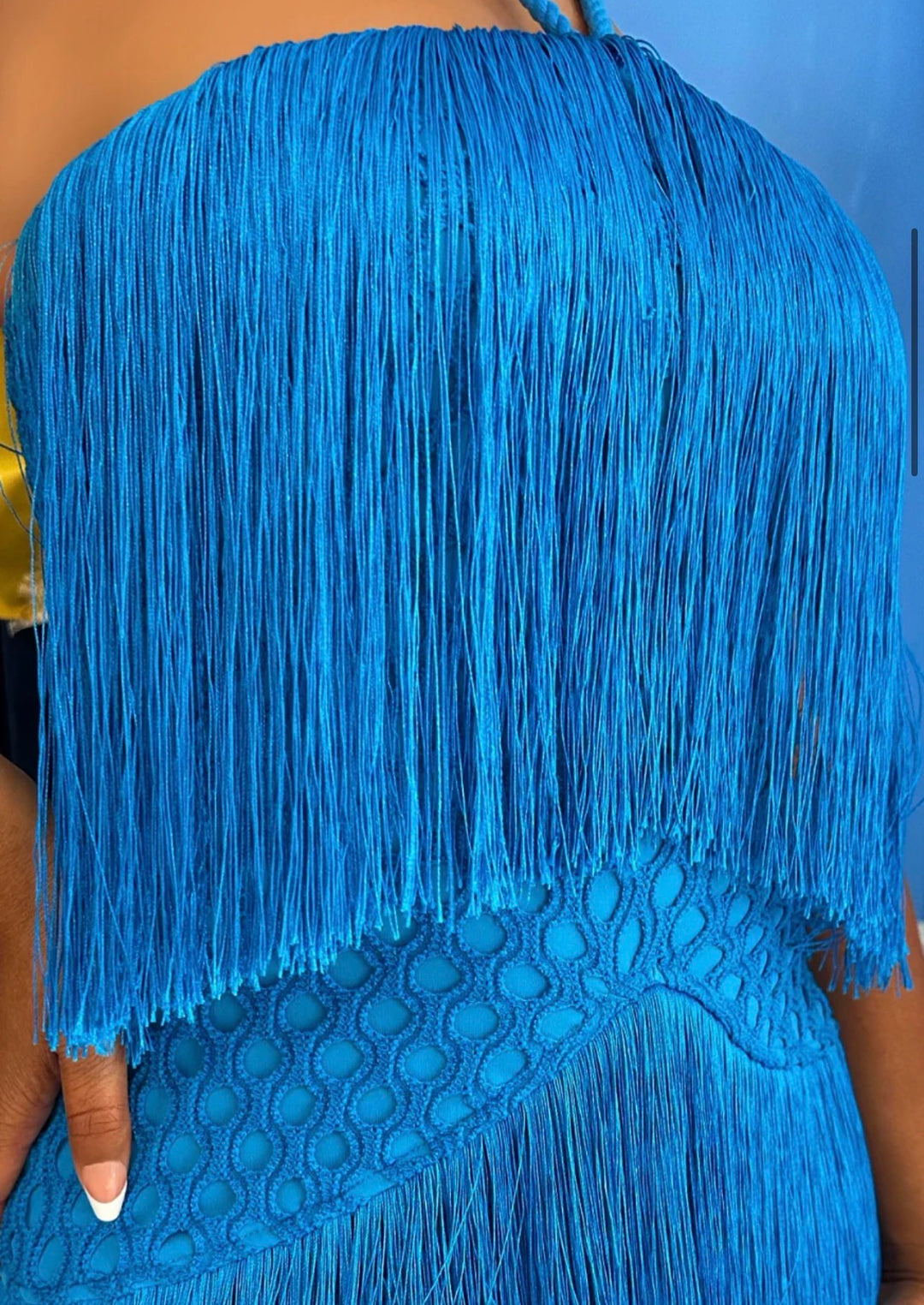 Meow and Barks Blue Fringe Dress