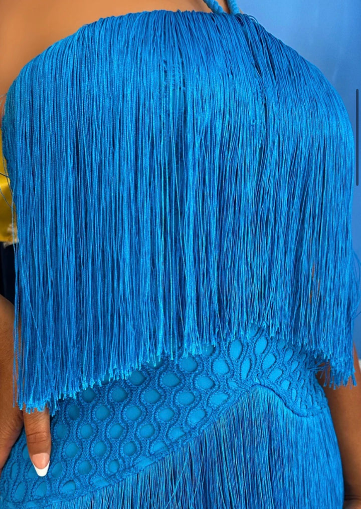 Meow and Barks Blue Fringe Dress