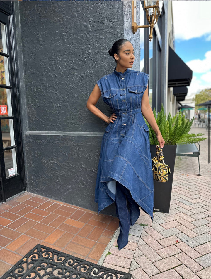 Meow and Barks Denim Girl Fall Dress