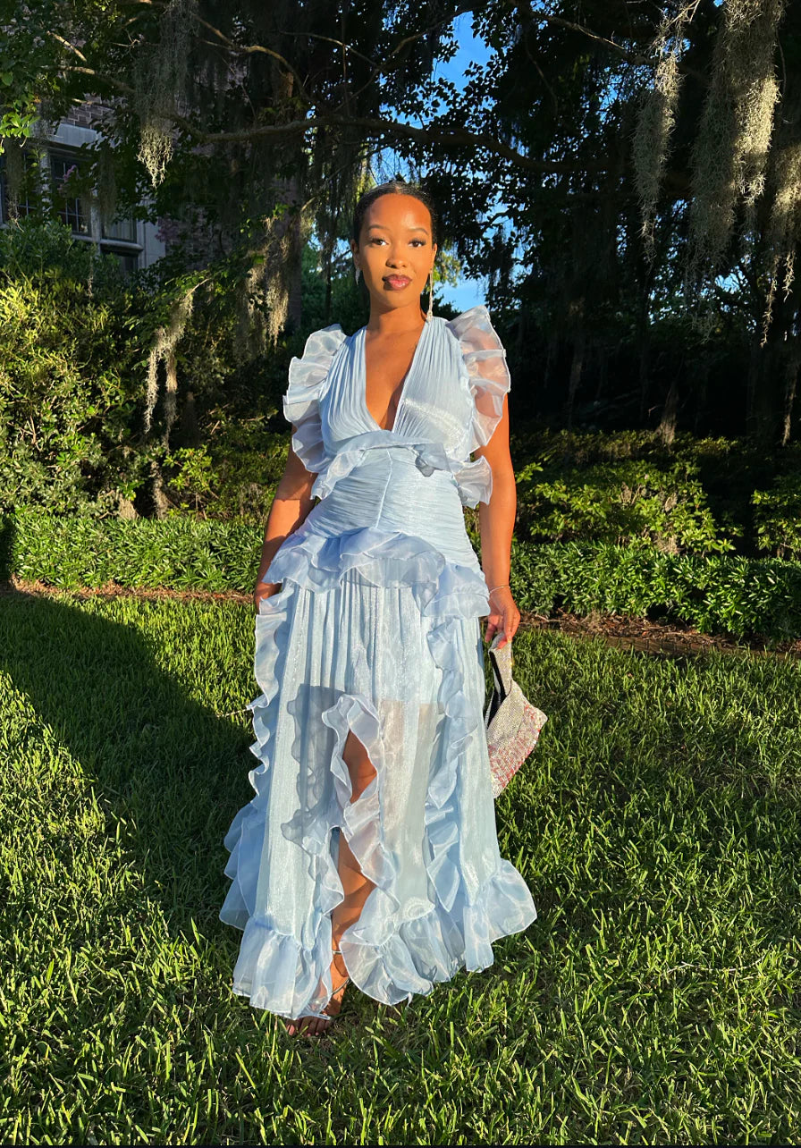 Meow and Barks All of the Frills Blue Dress