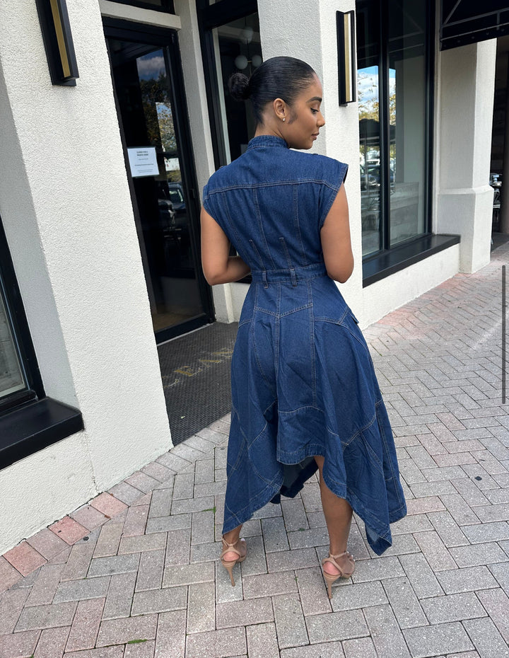 Meow and Barks Denim Girl Fall Dress