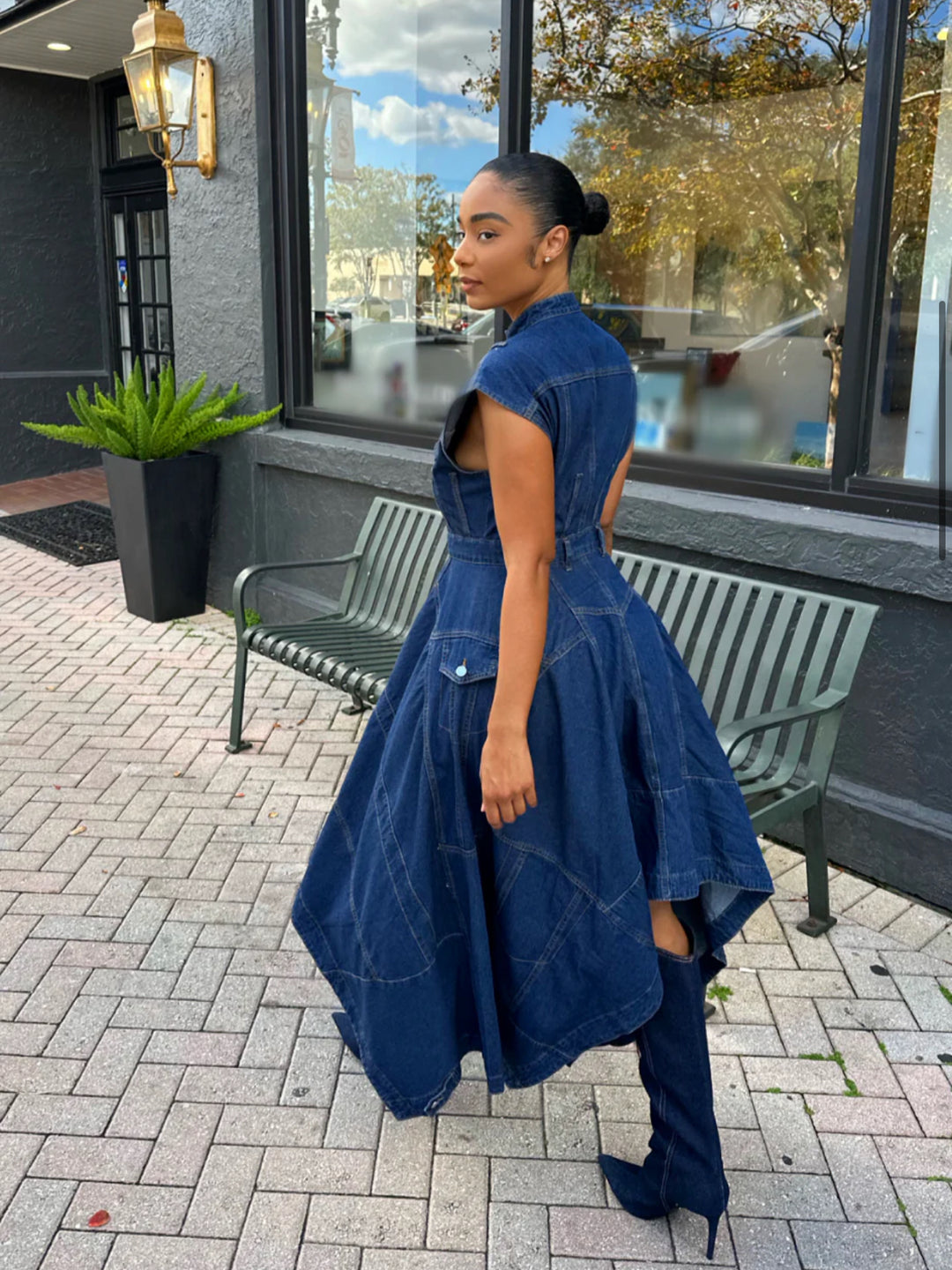 Meow and Barks Denim Girl Fall Dress