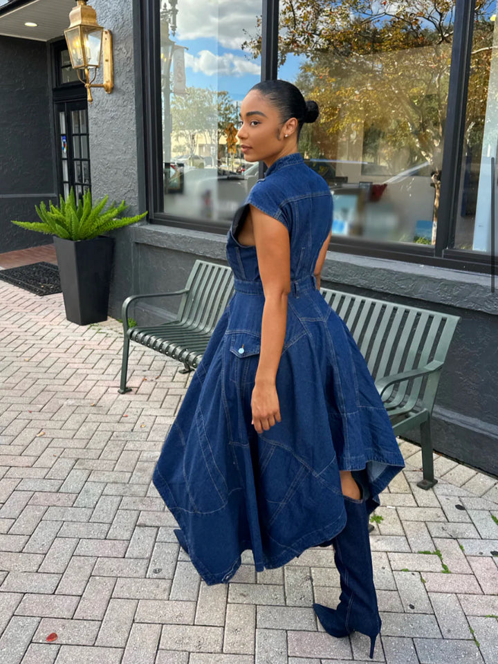 Meow and Barks Denim Girl Fall Dress