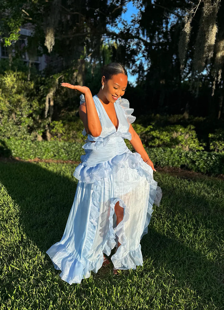 Meow and Barks All of the Frills Blue Dress